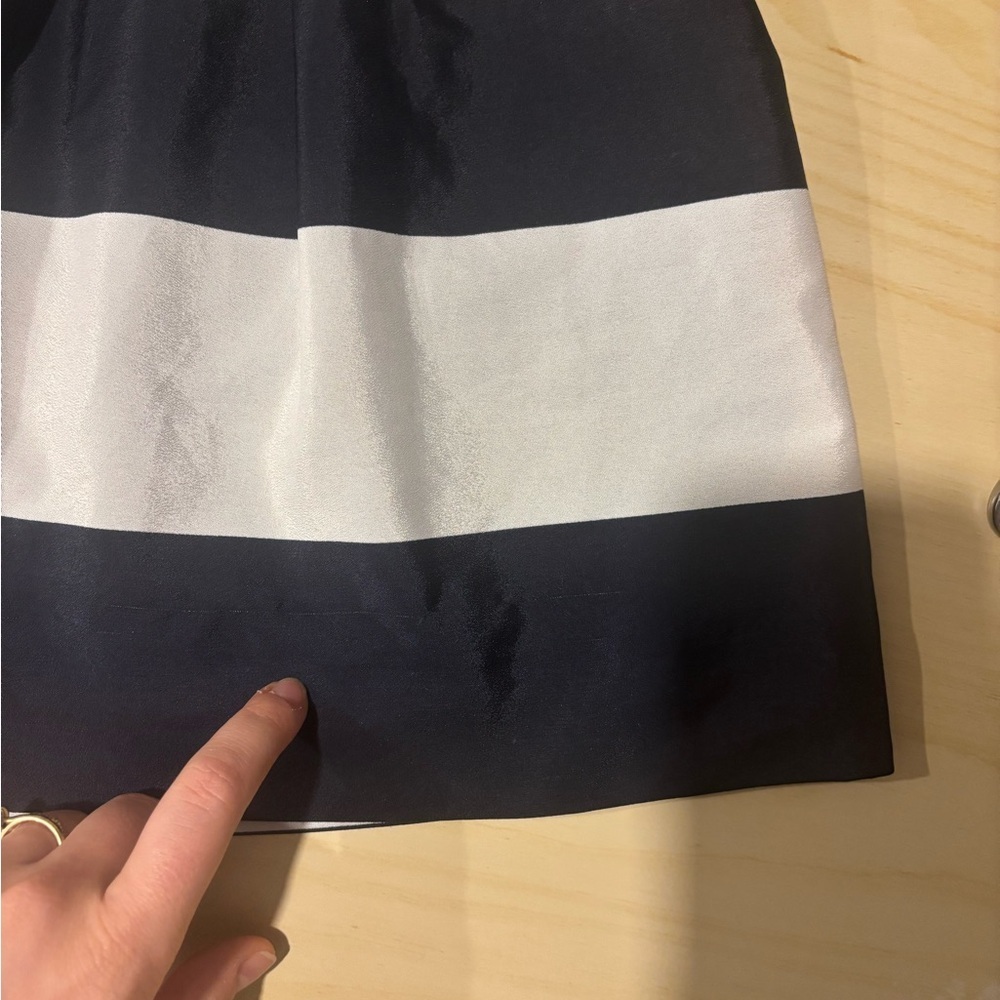 J. Crew White and Blue Skirt (US 2) - Picture 7 of 12